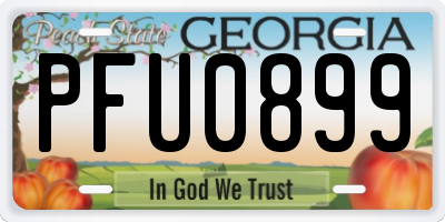 GA license plate PFU0899