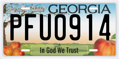 GA license plate PFU0914