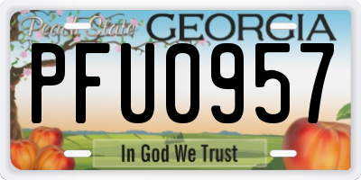 GA license plate PFU0957