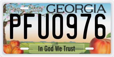 GA license plate PFU0976