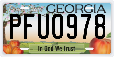 GA license plate PFU0978