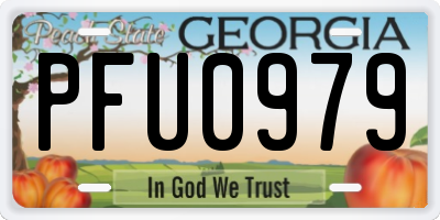 GA license plate PFU0979