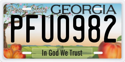 GA license plate PFU0982