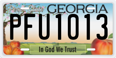 GA license plate PFU1013