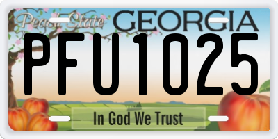 GA license plate PFU1025