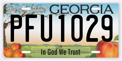 GA license plate PFU1029