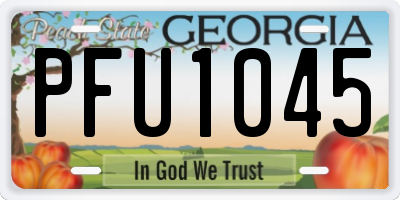 GA license plate PFU1045