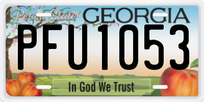 GA license plate PFU1053