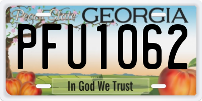 GA license plate PFU1062