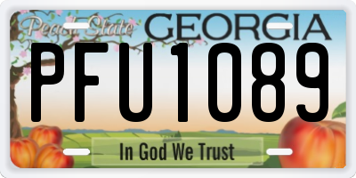 GA license plate PFU1089