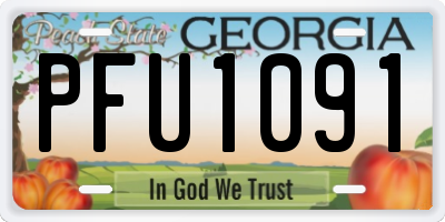 GA license plate PFU1091
