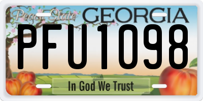 GA license plate PFU1098