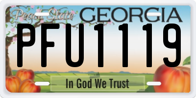 GA license plate PFU1119