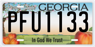 GA license plate PFU1133