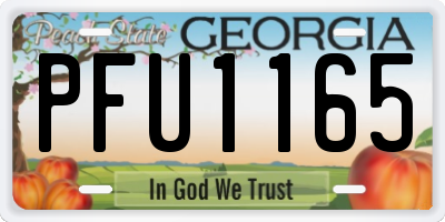 GA license plate PFU1165