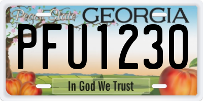 GA license plate PFU1230