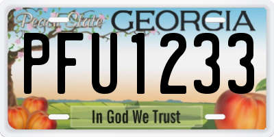 GA license plate PFU1233