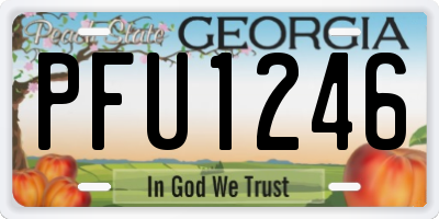 GA license plate PFU1246