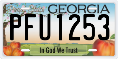 GA license plate PFU1253