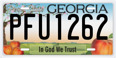 GA license plate PFU1262