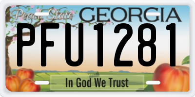 GA license plate PFU1281