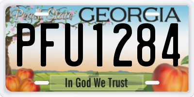 GA license plate PFU1284