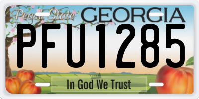 GA license plate PFU1285
