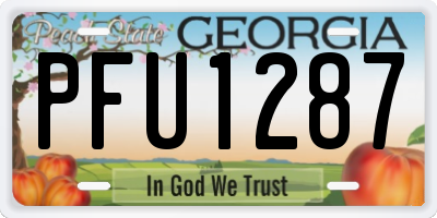 GA license plate PFU1287