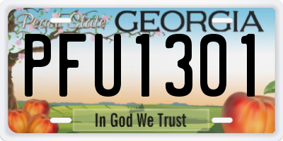 GA license plate PFU1301