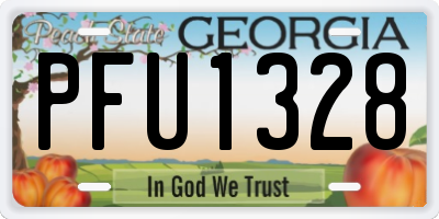 GA license plate PFU1328