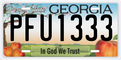 GA license plate PFU1333
