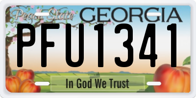 GA license plate PFU1341