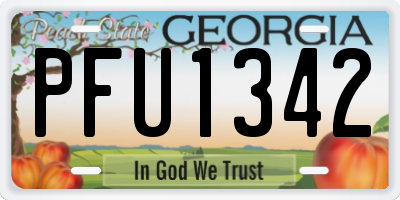 GA license plate PFU1342