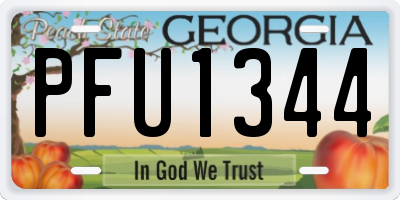 GA license plate PFU1344