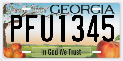 GA license plate PFU1345