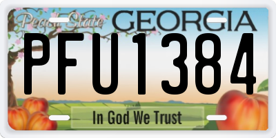 GA license plate PFU1384