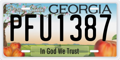 GA license plate PFU1387