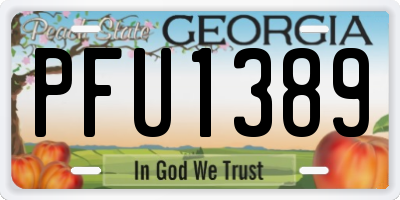 GA license plate PFU1389