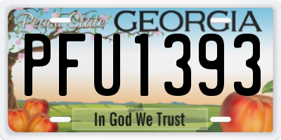 GA license plate PFU1393