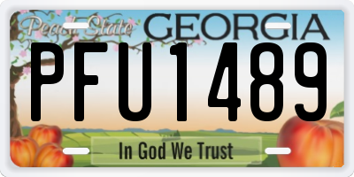 GA license plate PFU1489