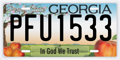 GA license plate PFU1533