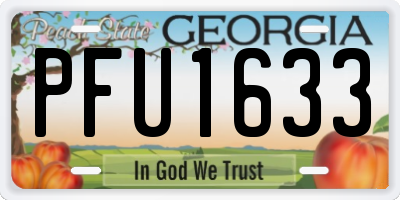 GA license plate PFU1633