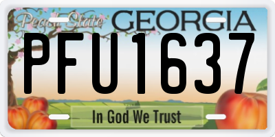 GA license plate PFU1637
