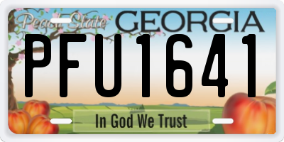 GA license plate PFU1641