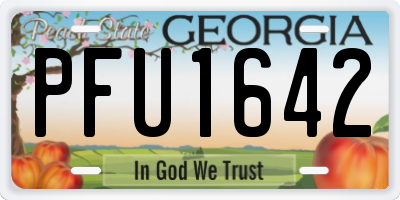 GA license plate PFU1642