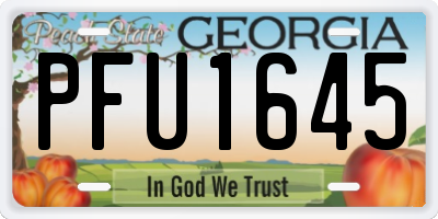 GA license plate PFU1645