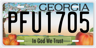 GA license plate PFU1705