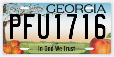 GA license plate PFU1716