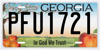 GA license plate PFU1721