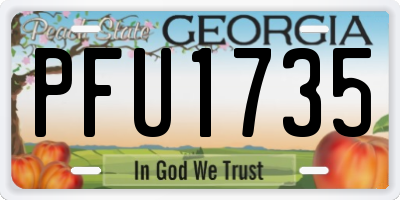 GA license plate PFU1735